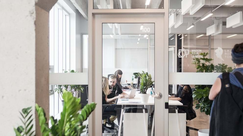 Bureaux La Rotonde Maison Pour La Danse Québec contemporain