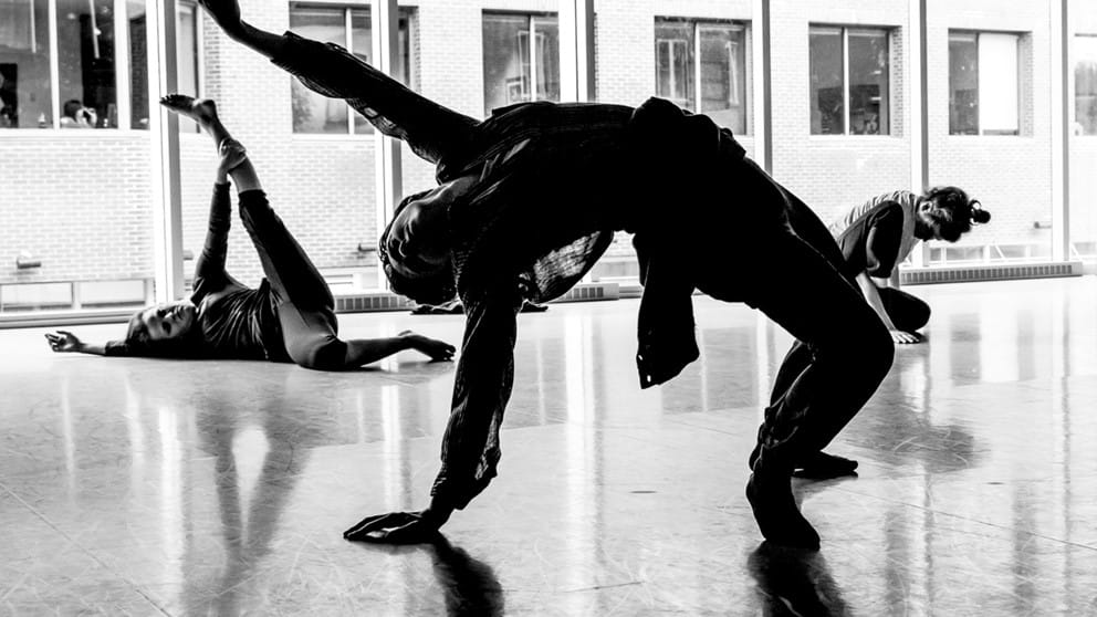 Stage danse contemporaine pour professionnels MPLD Québec 